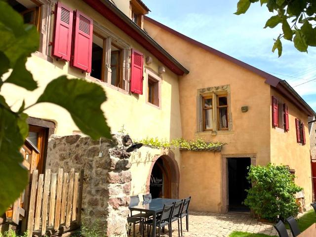 Pfaffenheim Vente Maison 68