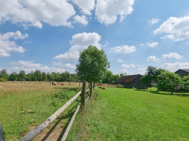 Pferdeparadies mit umfangreicher Infrastruktur und vielseitigen Nutzungsmöglichkeiten