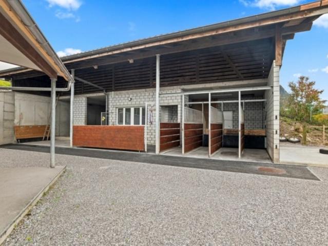 Pferdeparadiesli im Simmental Berner Oberland