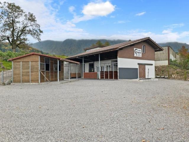 Pferdeparadiesli im Simmental Berner Oberland