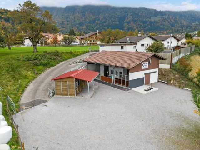 Pferdeparadiesli im Simmental Berner Oberland