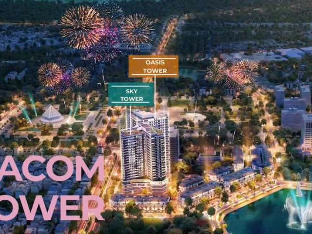 Phụ Trách Dự Án 03333 86