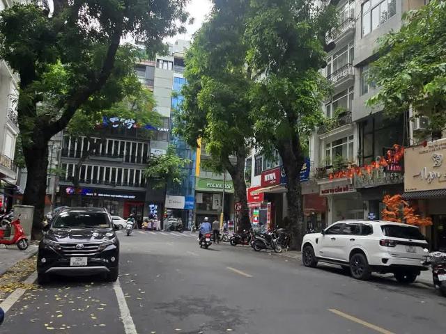 Phố Vip Hoàn Kiếm Cực Hiếm Nhà Bán Kinh Doanh Đỉnh 30m2*6 Tầng MT 3.8m Giá 33 Tỷ
