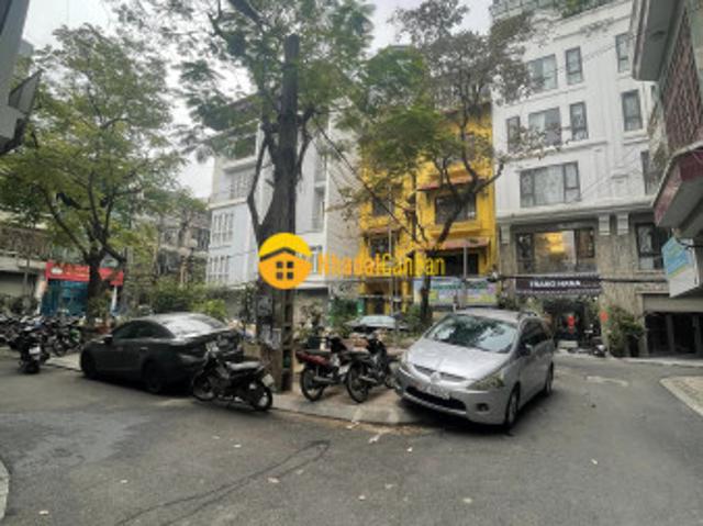 Phố nguyên hồng 50m2 mt3.7 giá 12.5 tỷ, gara, kinh doanh, vỉa hè