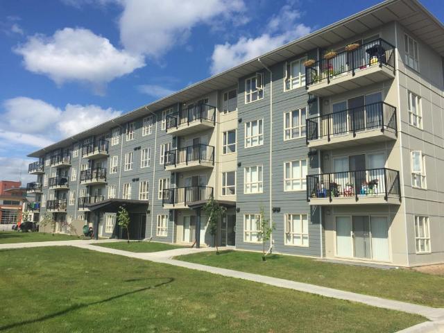 Phoenix – 1 Bedroom