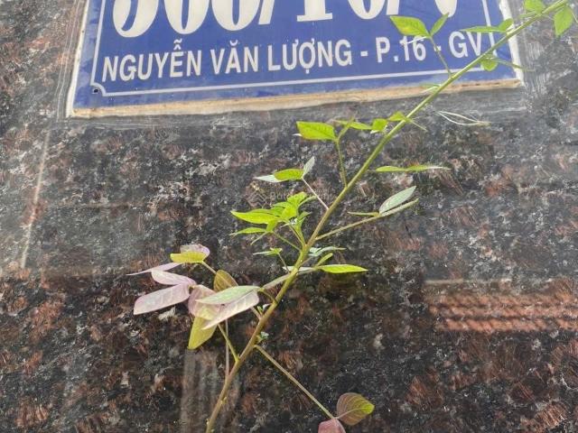 Phòng trọ full nội thất Gò Vấp Đường Nguyễn Văn Lượng