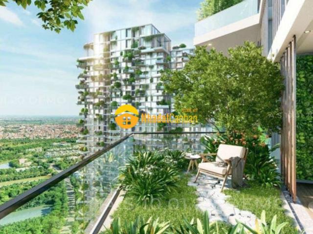 Phàm trên đời cái gì hiếm auto giá trị và sẽ cháy hàng