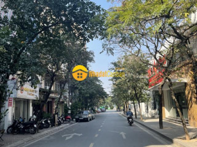 Phân lô cao cấp ngõ 19 trần quang diệu 52m2 x 4 tầng, mt5,2m giá 10 tỷ 8 ngõ ô tô vỉa hè