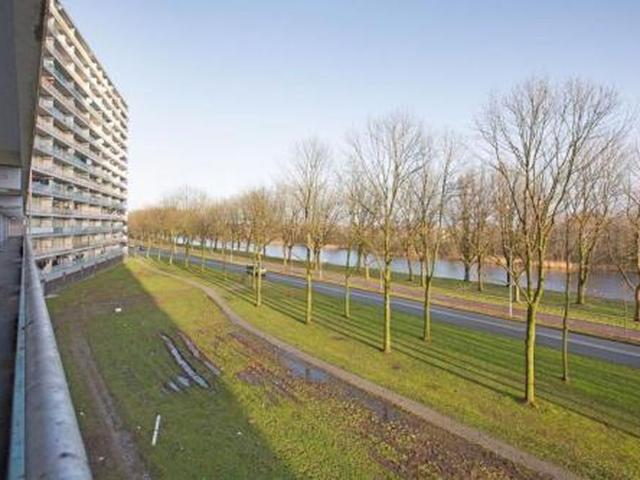 Pharus 1503 EC Zaandam