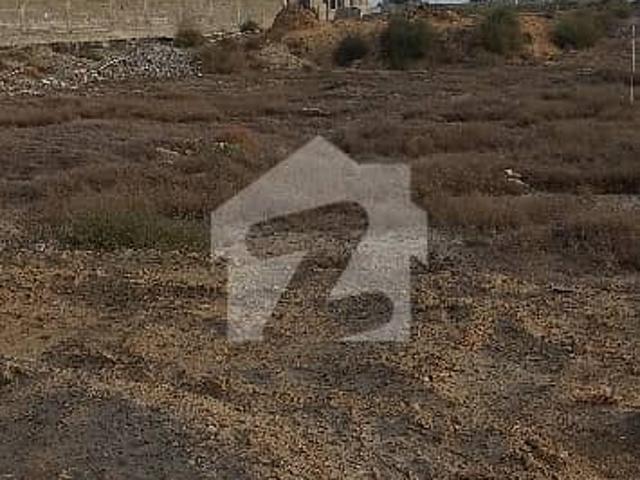 Phase 8 Zone D 500 Yds Plot For Sale