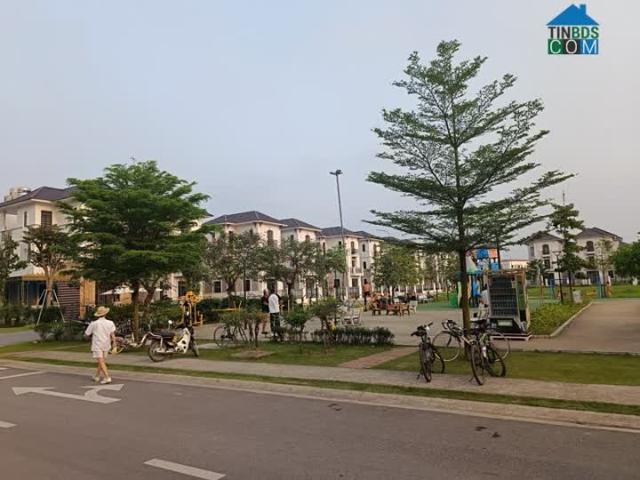 Phiên bản giới hạn biệt thự Đơn lập View công viên, hồ điều hòa kđt Vsip