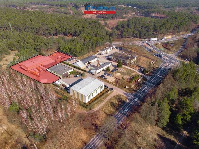 Hala magazynowa i biura w Piła, 880 m², dostęp od zaraz
