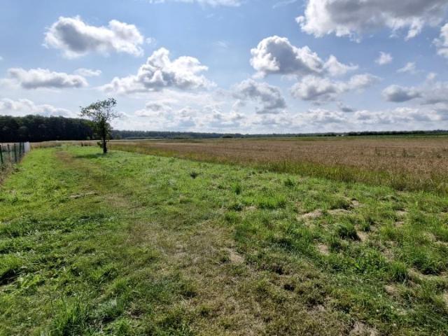 Piękna 1 680 m², Rachowice