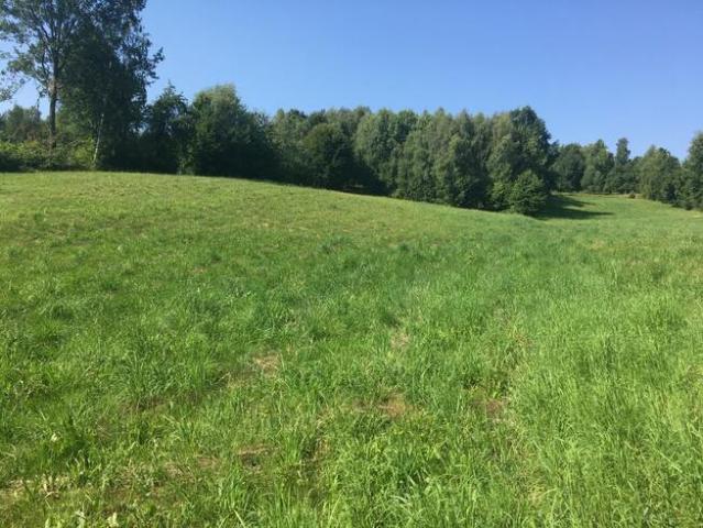 Piękna działka widokowa w Cierchach.bezpośrednio