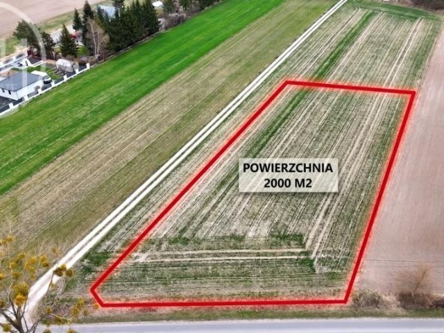 Piłsudskiego 2 000 m², Górzno