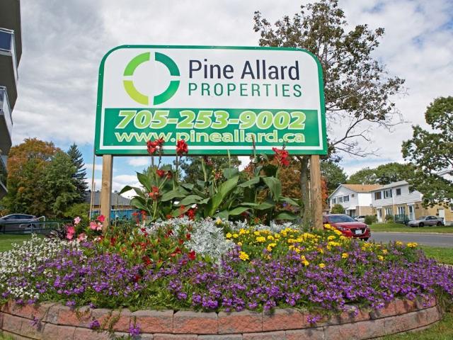 Pine Allard Properties 2 Bedroom Apartment for Rent at 751 Pine St, Sault Ste. Marie, ON P6B 3G2 The P Patch