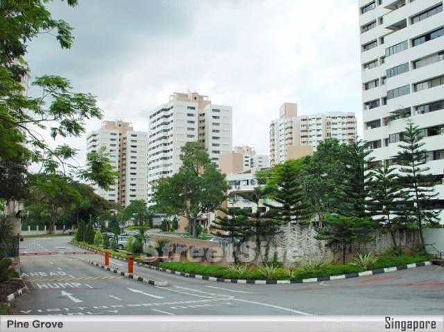 Pine Grove D21, Condominium