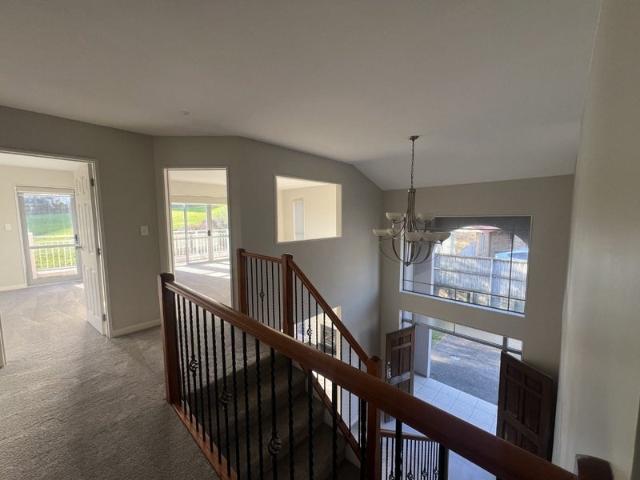pine hill, 5 bedrooms