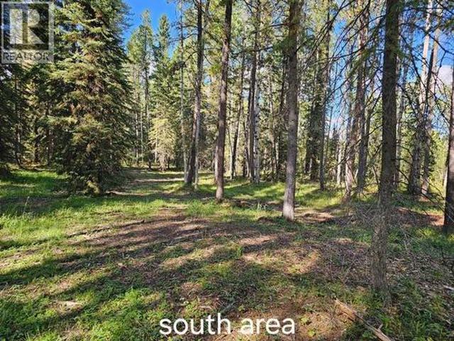 Pine Ridge Alley, Rural Clearwater County, AB, T4T 1A7 vacant land for sale | Listing ID A2317 | Royal LePage