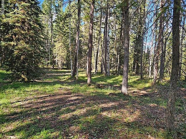 Pine Ridge Alley Rural Clearwater County, Alberta