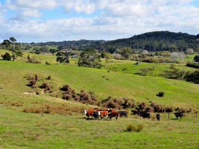 Pine Valley Road, Wainui, Rodney