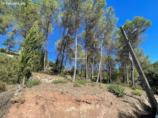 Pinedas de CastellNou de Bages Barcelona