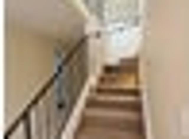Pinehill, 5 bedrooms, $1300 pw