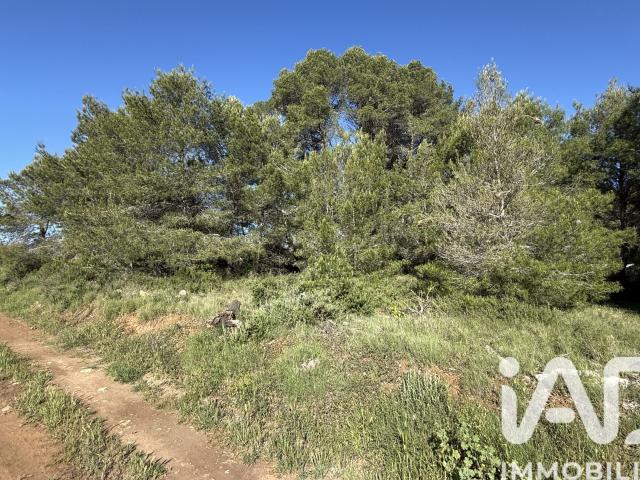 Pinet Vente Terrain 34