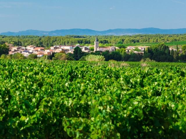Pinet Vente Terrain 34
