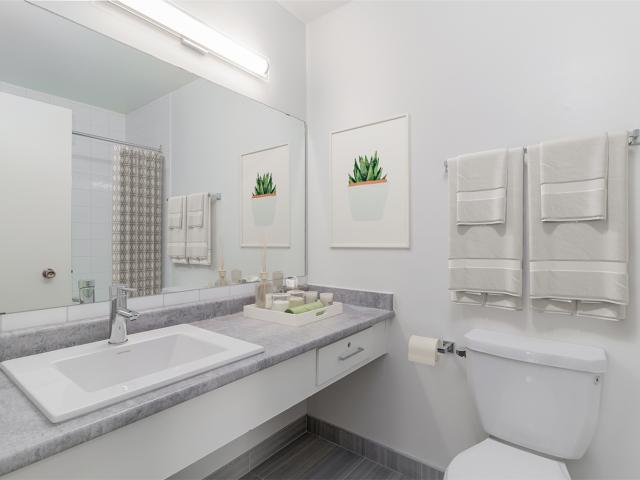 Pinetree Village 1 Bedroom Basement [object Promise] for Rent