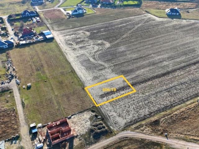 Pingwinów 1 045 m², Wolica