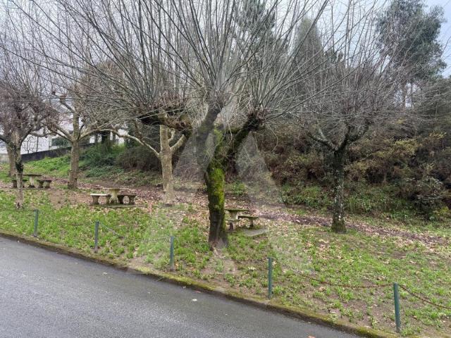 Terreno localizado no vale da Cova em Nogueira do Cravo!