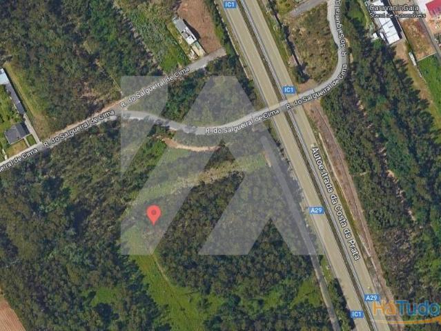 Pinhal Ovar | 26063881803