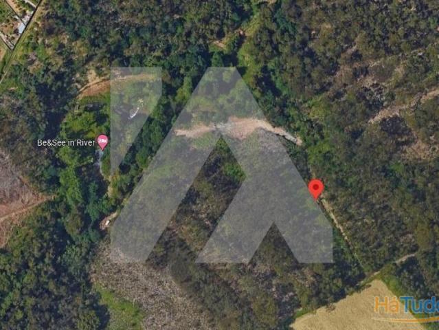 Pinhal Ovar | 26083881807