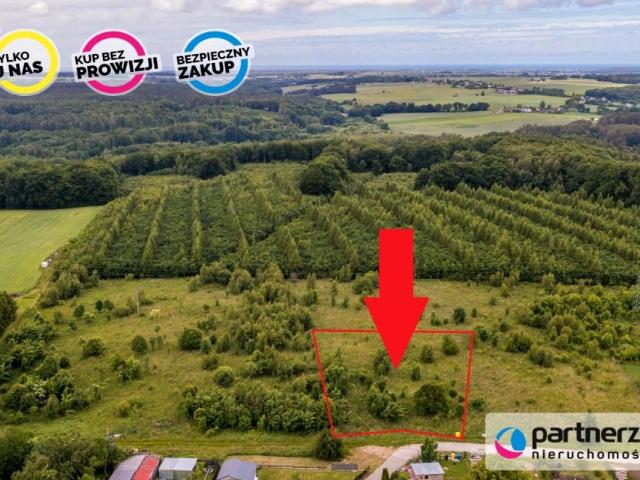 Piotra Dunina 2 481 m², Świecino