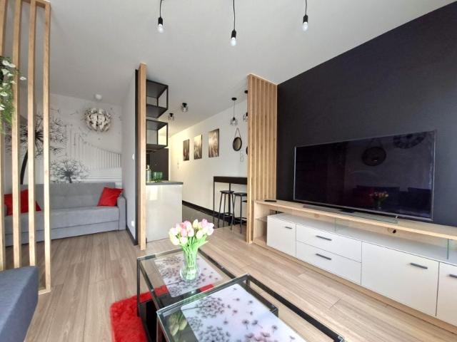 Piotrkowska 40 m², Kielce