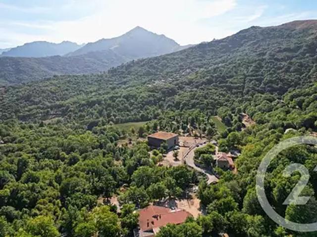 Pioggiola 20259 Achat / Vente maison 10 pièces t10