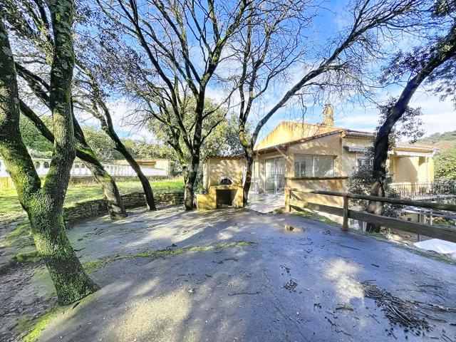 PIOLENC MAISON 200 m2 LUMINEUSE AVEC PISCINE SUR 4 301 m2 terrain