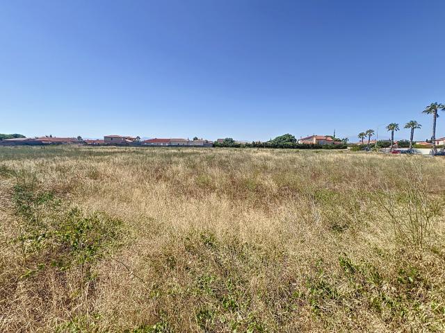 Pia Vente Terrain 66