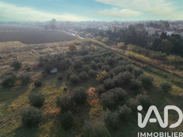 Pia Vente Terrain 66