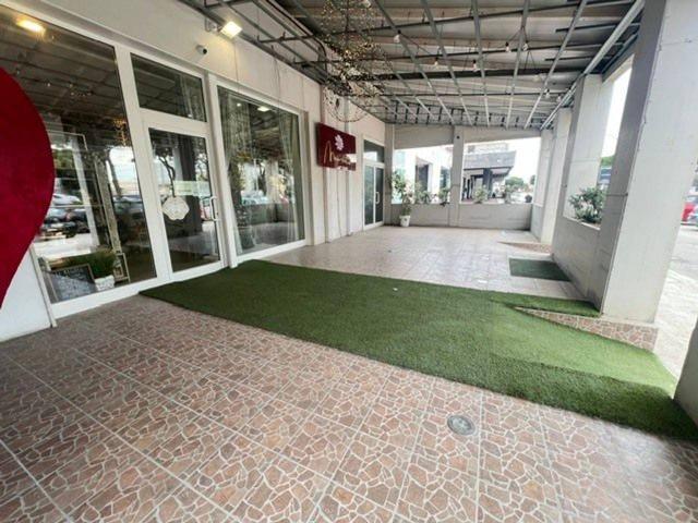 Piante e fiori in vendita a Brindisi