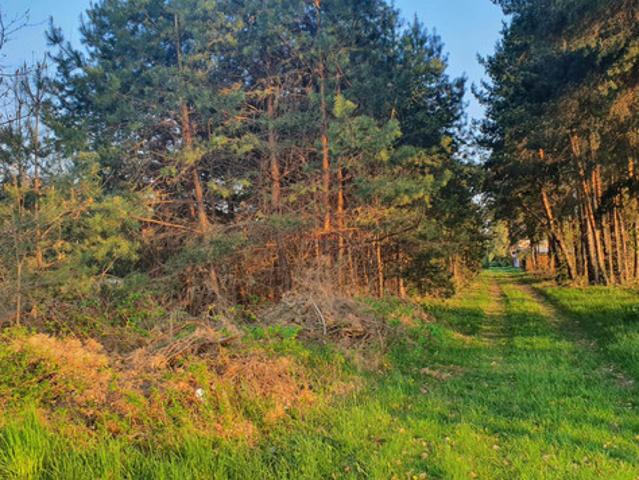 Piaseczyński, Grójec, Mirowice