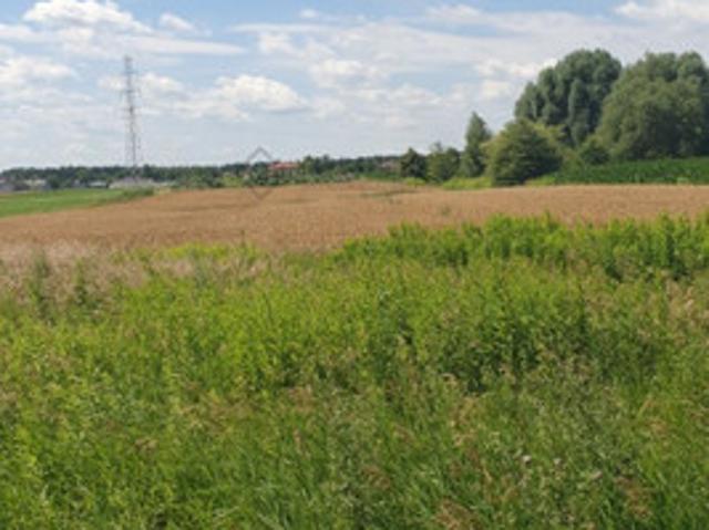 Piaseczyński, Lesznowola