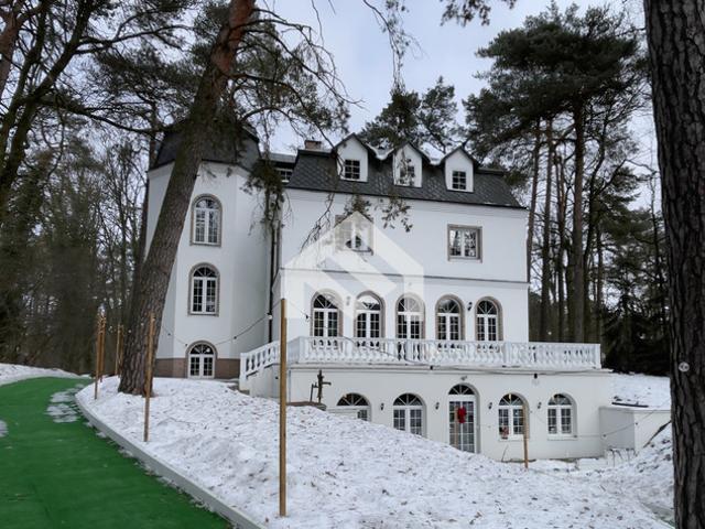 Piaseczyński, Piaseczno, Aleja Brzóz