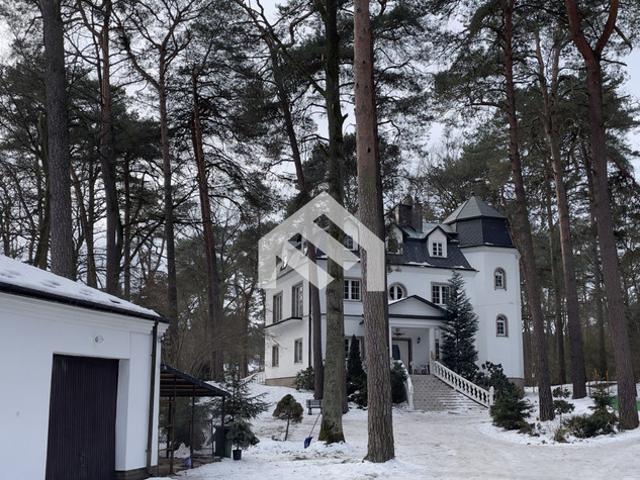 Piaseczyński, Piaseczno, Aleja Brzóz