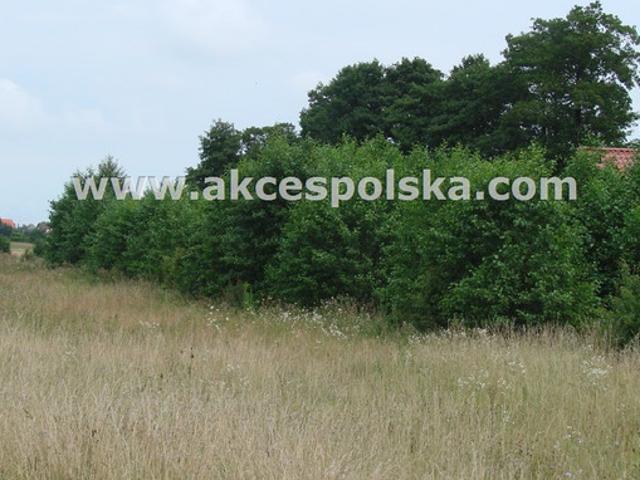 Piaseczyński, Piaseczno, Chojnów, Graniczka