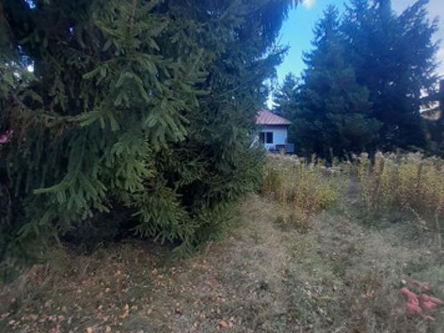 Piaseczyński, Piaseczno, Chylice