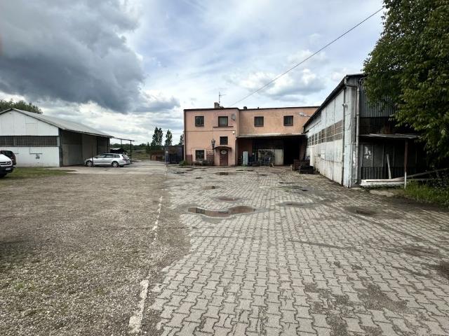 Piaskowa 650 m², Nowa Sól