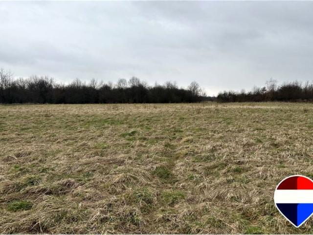 Piaskowa 187 m², Jankowice