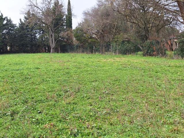 Pibrac Vente Terrain 31